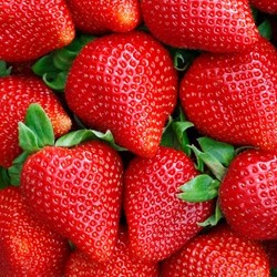 TPA - Sweet Strawberry