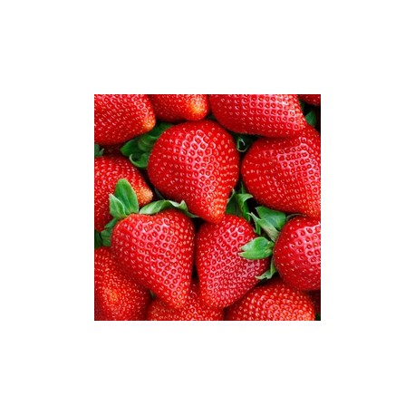 TPA - Sweet Strawberry