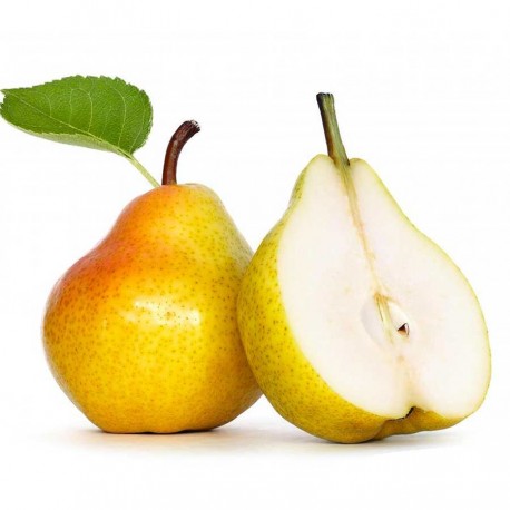 FA - Pear