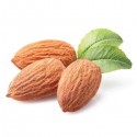 FA - 16OZ Almond