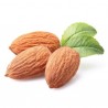 FA - Almond