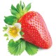Shisha Strawberry - INW