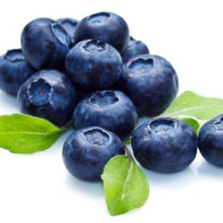 Blueberry TPA ( arandano) 