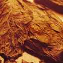 TPA - Red Type Blend