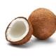 Coconut Extra - TPA - 