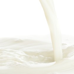 TPA - Dairy milk