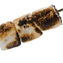 TPA - Toasted Marshmallow