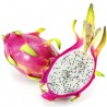 Dragonfruit