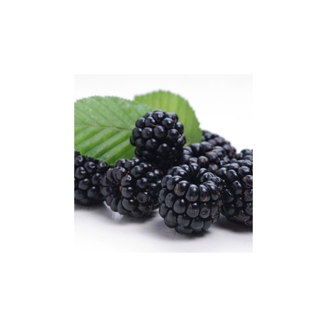 Tutti Frutti -tpa-