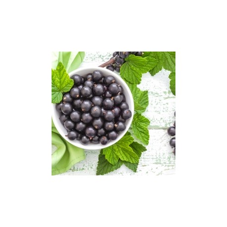 Black Currant - Tpa -