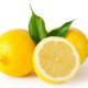 Lemmon - Tpa -