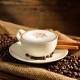 Mexican Coffee- Tpa -