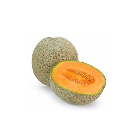 Cantaluope - FW-
