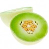 Honeydew melon - TPA -