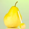 Pear Candy - tpa - 