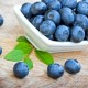 Blueberry Wild- TPA