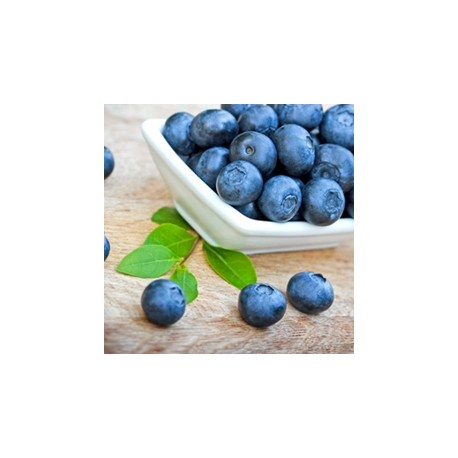 Blueberry Wild- TPA