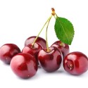TPA - Black Cherry