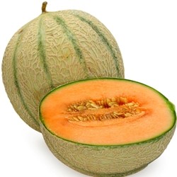 TPA - Cantaloupe