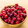 cranberry - TPA