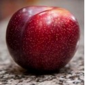 FW - Plum