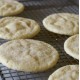 sugar cookie - fw-
