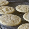 sugar cookie - fw-