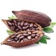 cocoa - Fa