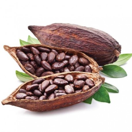 cocoa - Fa