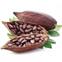 FA - cocoa