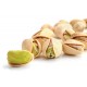 Pistachio - FW