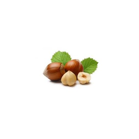 Hazelnut - FW
