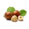 Hazelnut - FW