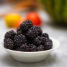 Boysenberry - TPA