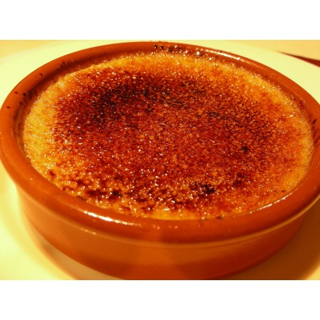 Catalan Cream - Fa
