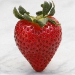 FW - Strawberry