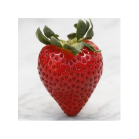 Strawberry - FW