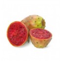 FW - Prickly Pear