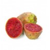 Prickly Pear - FW