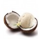 Creamy Coconut - FW