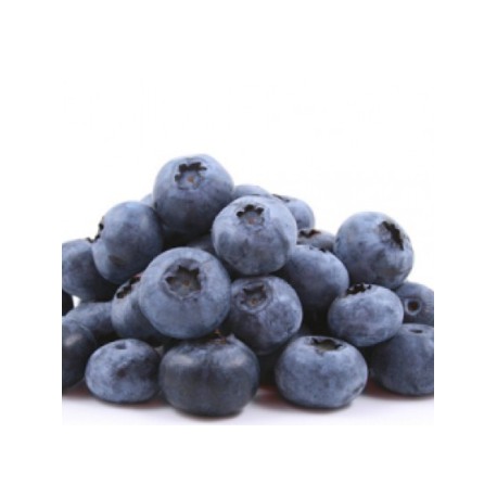 Blueberry - FW -