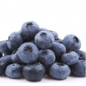 FW - Blueberry