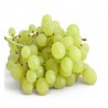 White grape - FW -