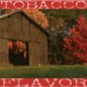 Maple Rum Tobacco - FW -