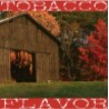 Maple Rum Tobacco - FW -