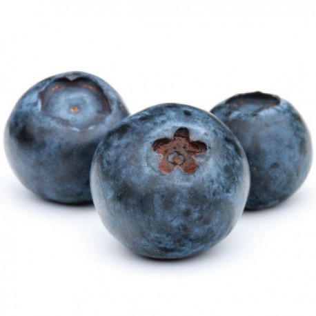 bilberry ( arandano) - Fa