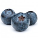 FA - Bilberry ( arandano)