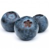 bilberry ( arandano) - Fa