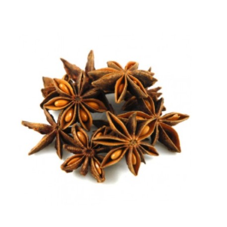 Anise - FW -