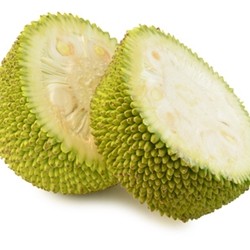 TPA - Jackfruit